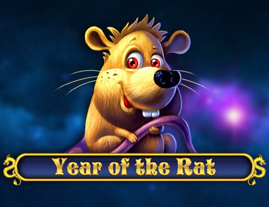 Year of the Rat